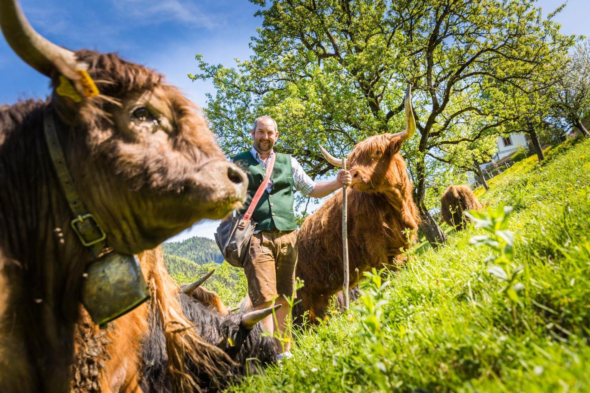 Biobauernhof Lacken Strohmarkt エクステリア 写真