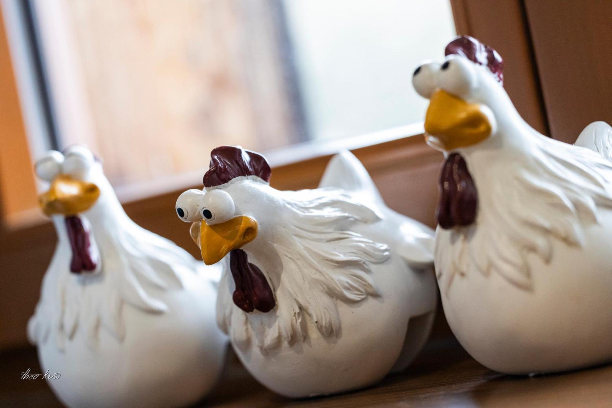 Biobauernhof Lacken Strohmarkt エクステリア 写真